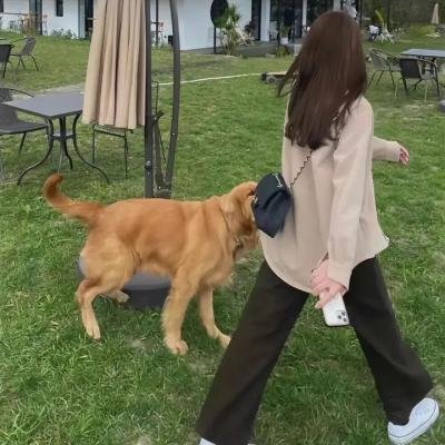 哈尔斯顿